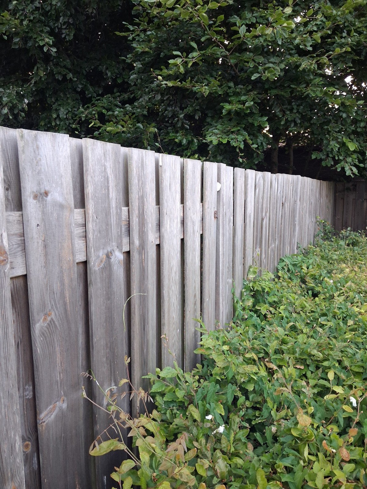 6 schuttingen 1.80 bij 1.80 gebruikt, Tuin en Terras, Ophalen, Hout, Minder dan 3 meter, 1 tot 2 meter