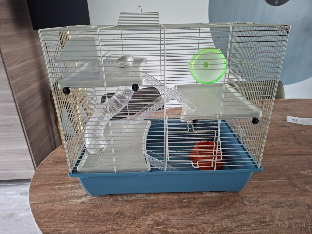 Leuke hamsterkooi, Dieren en Toebehoren, Minder dan 60 cm, Kooi, Minder dan 75 cm, Ophalen of Verzenden