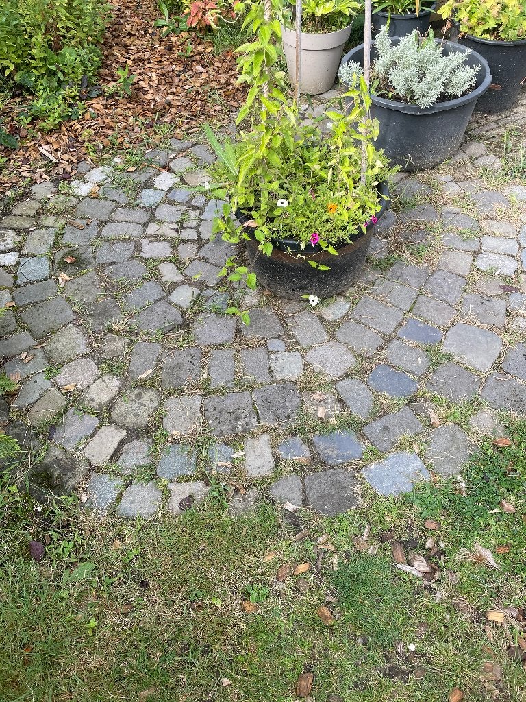 Kasseien, Ophalen, Gebruikt, Overige typen, Natuursteen