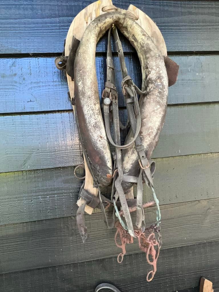 Antiek paardentuig / juk en hoofdstel- Decoratief item, Ophalen of Verzenden, Gebruikt