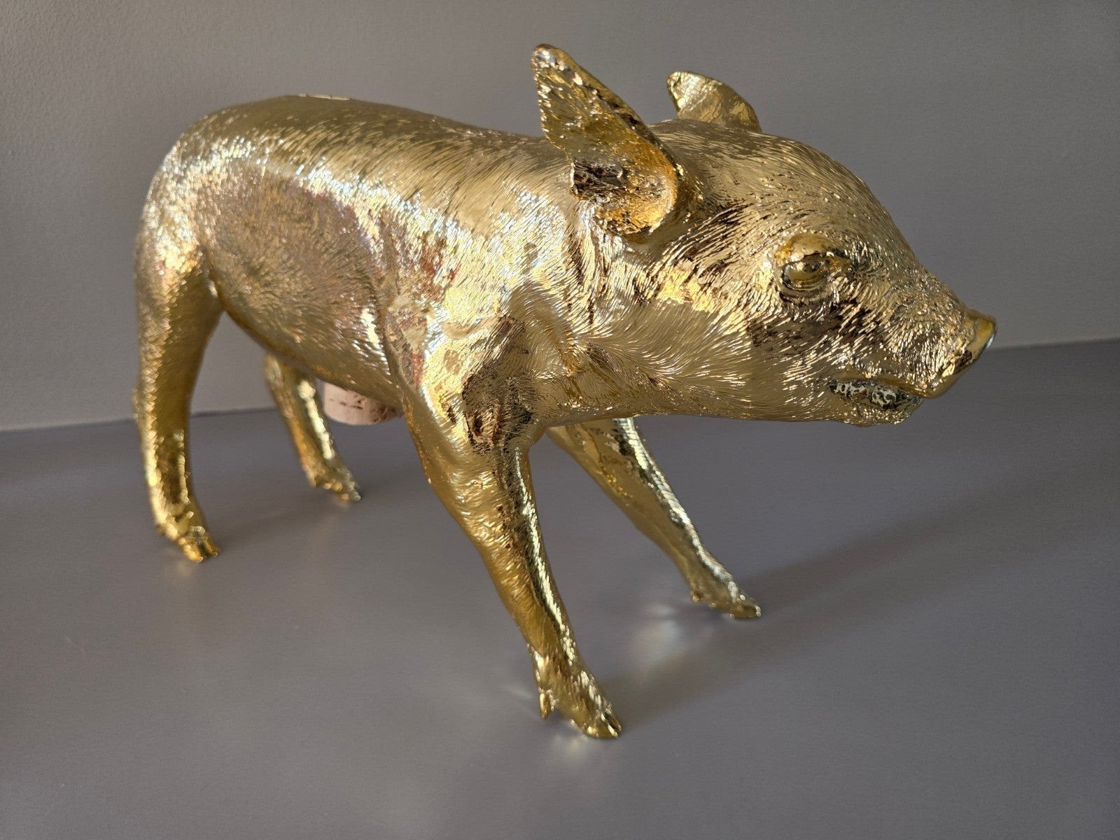 Harry Allen reality areaware gouden big., Ophalen of Verzenden, Zo goed als nieuw, Goud, Overige materialen