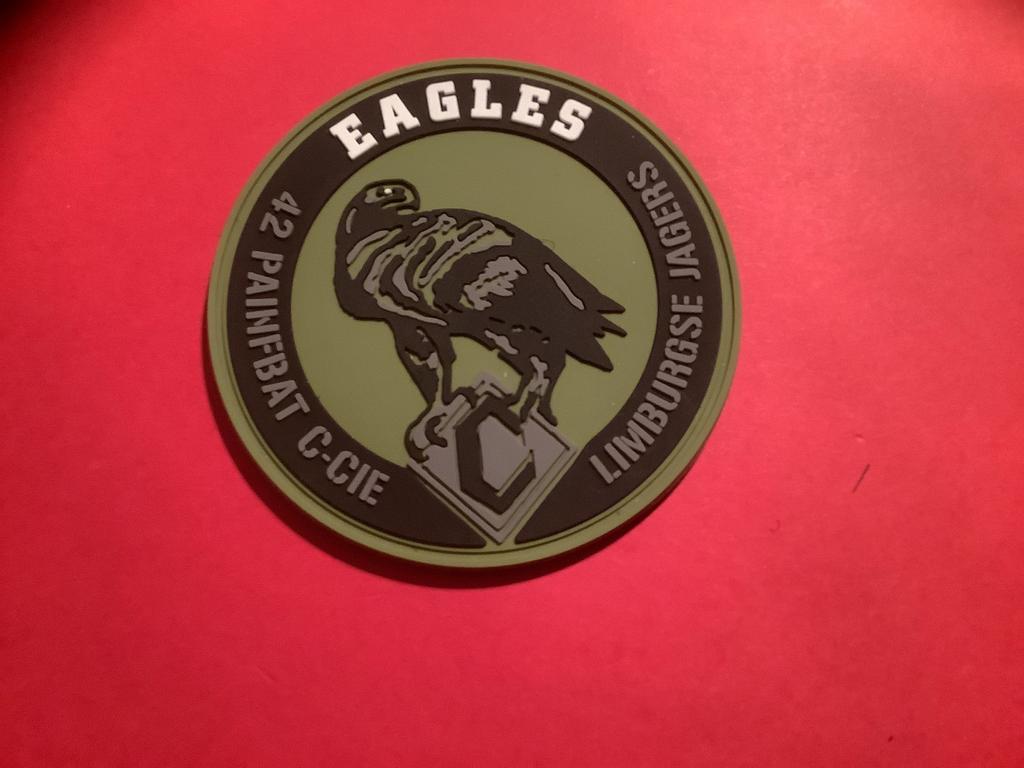 Badge van Eagles met velcro, Verzamelen, Militaria | Algemeen, Ophalen of Verzenden, Landmacht, Nederland, Embleem of Badge