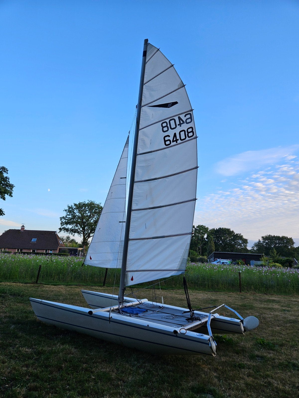 Dart 18 Catamaran - Zeilklaar, inclusief strandtrailer, Watersport en Boten, Catamarans, Ophalen, Gebruikt, Geen motor, Overige modellen