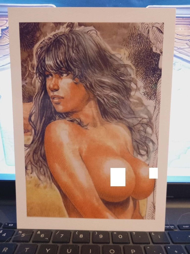 7x erotische druuna prenten 20 euro weg is weg, Boeken, Stripboeken, Meerdere stripboeken, Ophalen of Verzenden, Nieuw