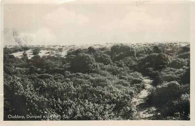 301-359-041 Ouddorp Duinpad ad Punt, Verzamelen, Ansichtkaarten | Nederland, Verzenden, Voor 1920, Zuid-Holland