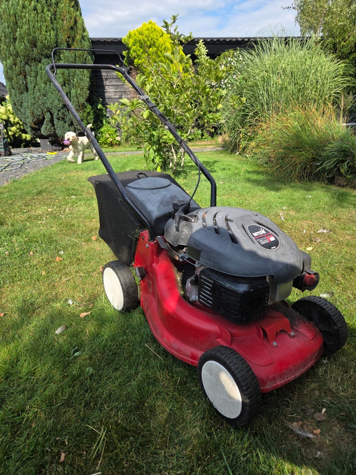 Benzine Grasmaaier merk MTD, Ophalen, Cirkelmaaier, Gebruikt, Herkules