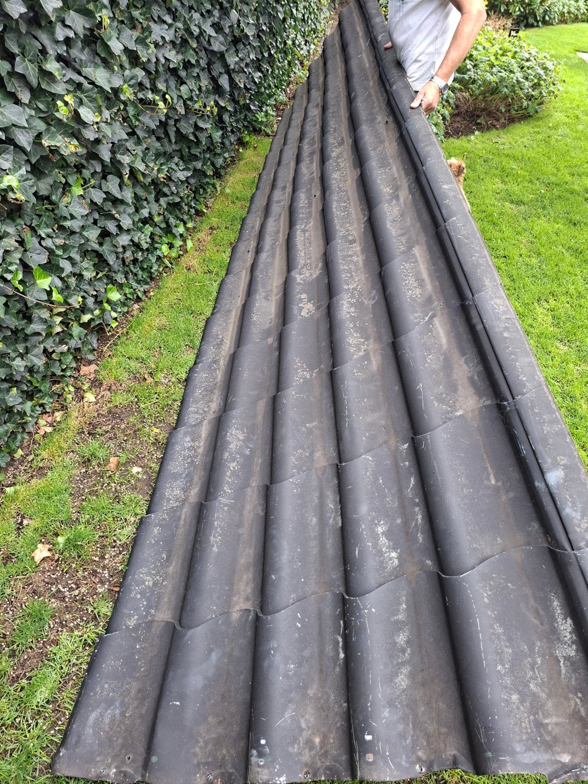 Dakpanplaten 4.20 x 114 x 2, Gebruikt, Zwart, 15 m² of meer, Metaal
