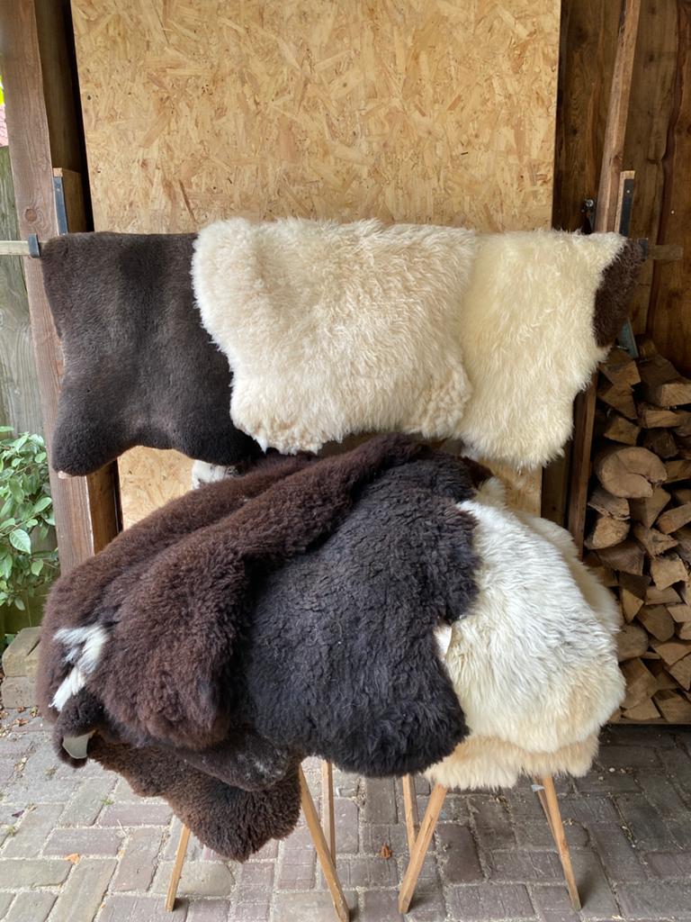 Schapenvacht voor je hond of poes., Dieren en Toebehoren, Honden-accessoires, Ophalen, Nieuw