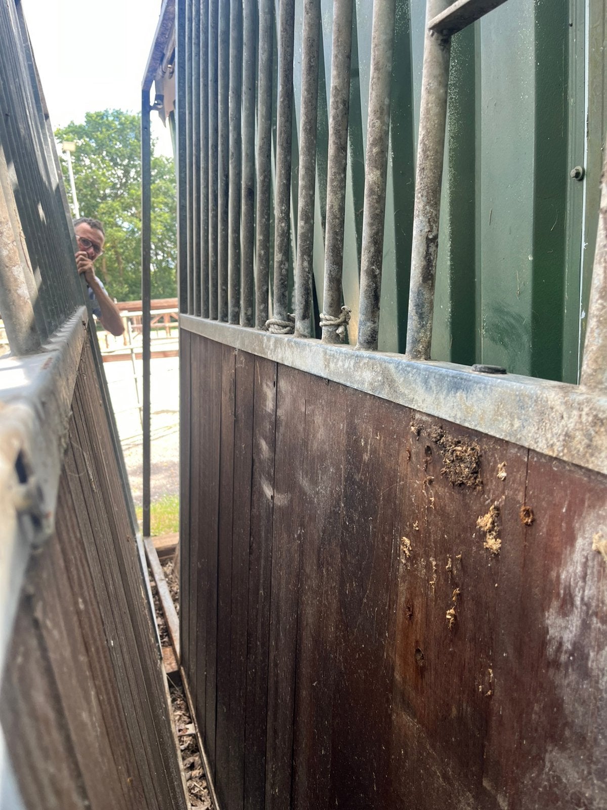 Stalwand, 1 paard of pony