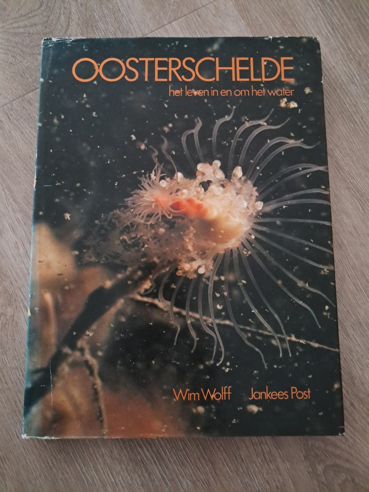 Y: Oosterschelde: het leven in en om het water, Ophalen of Verzenden