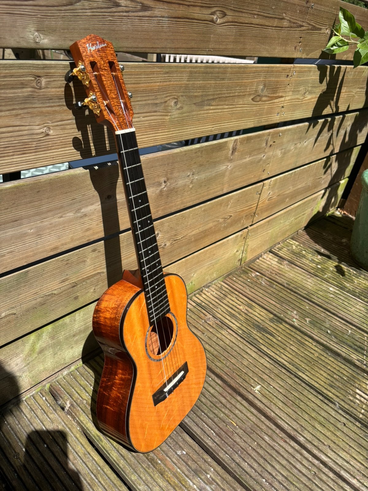 Ko'olau T100SP Ukulele (ruil mogelijk), Ophalen of Verzenden, Zo goed als nieuw, Overige typen, Met koffer
