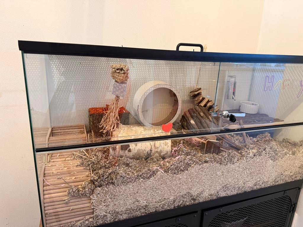 In Zeer goede staat hamsterkooi, Dieren en Toebehoren, Minder dan 60 cm, Kooi, Minder dan 75 cm, Ophalen of Verzenden