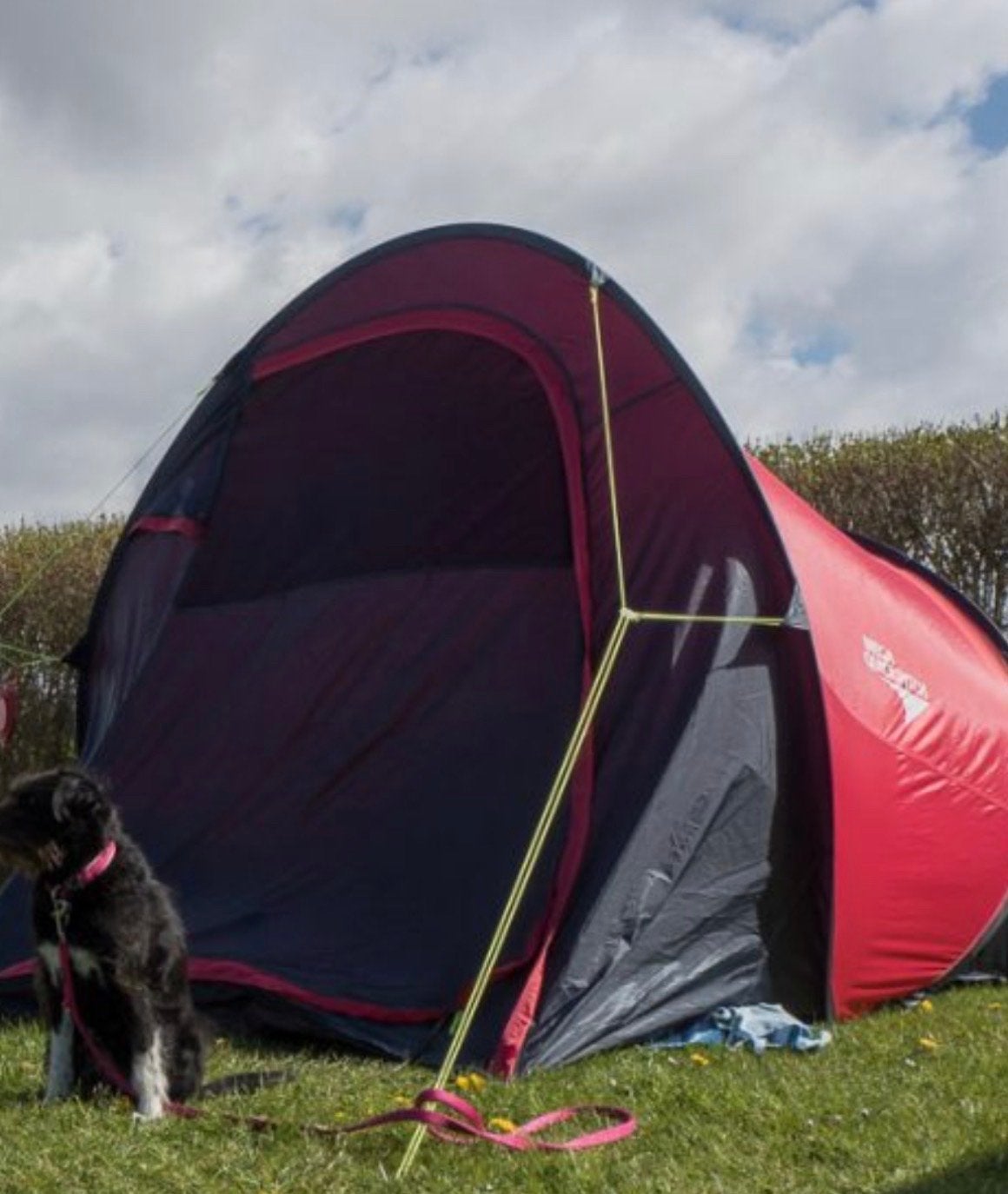 agility wedstrijd tent Gelert Mega Quickpitch Tent, Ophalen, Gebruikt, Tot en met 2