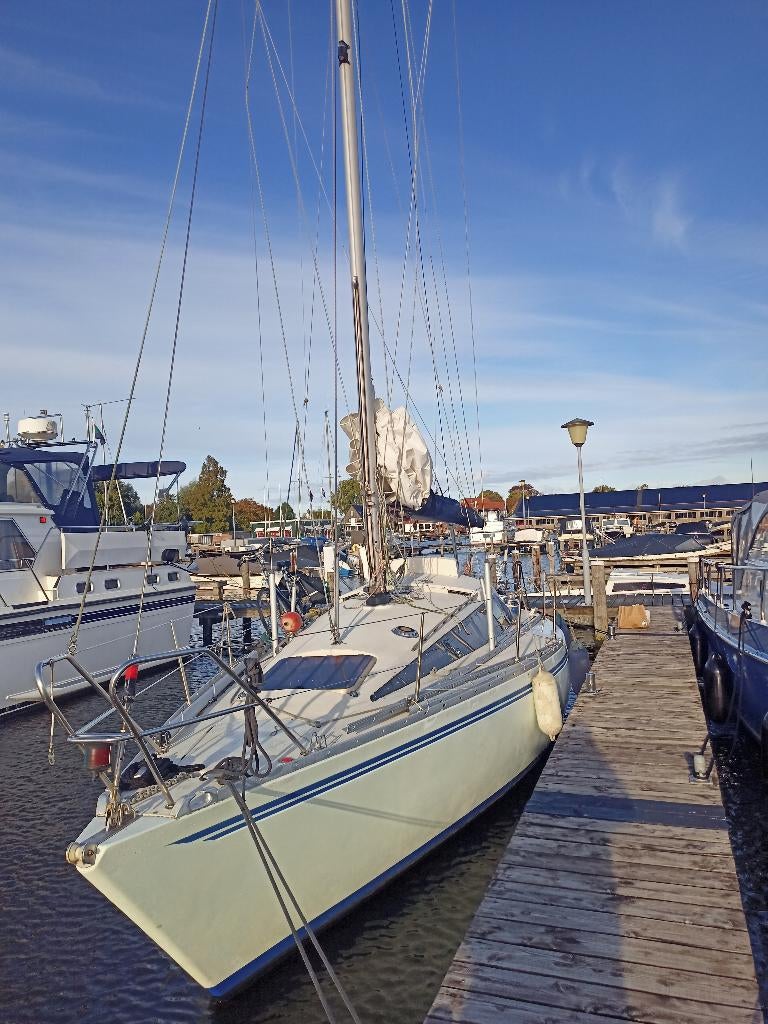 U MAG WONEN IN DEZE BOOT IN AMSTERDAM 10X4m of 9X3m, Gebruikt, Tourjacht of cruiser, Diesel, Ophalen of Verzenden