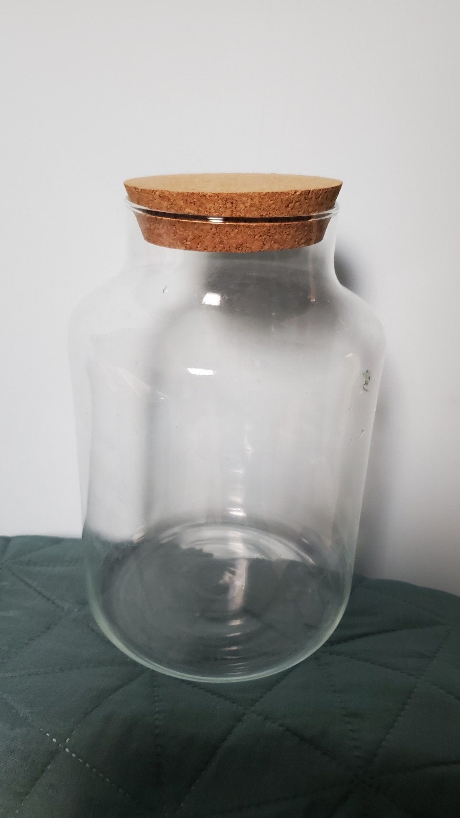 Glazen stolp  / planten terrarium, Glas, Ophalen, Zo goed als nieuw, Met deksel