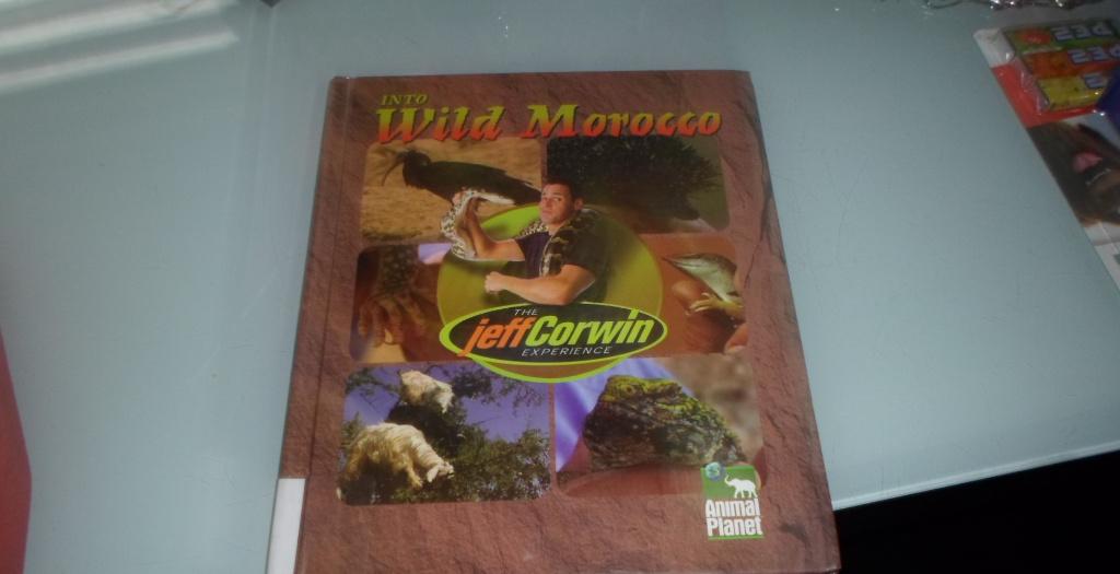 Into wild morocco (jeff corwin experience), Ophalen of Verzenden, Gelezen