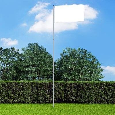 Telescopische Vlaggenmast Uitschuifbaar. Max. 6m aluminium., Ophalen of Verzenden, Nieuw