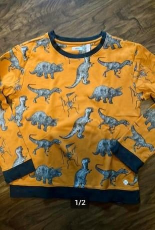 Oranje trui met Dino's maat 152 NOP Jongen, Ophalen of Verzenden, Zo goed als nieuw, Jongen, Trui of Vest