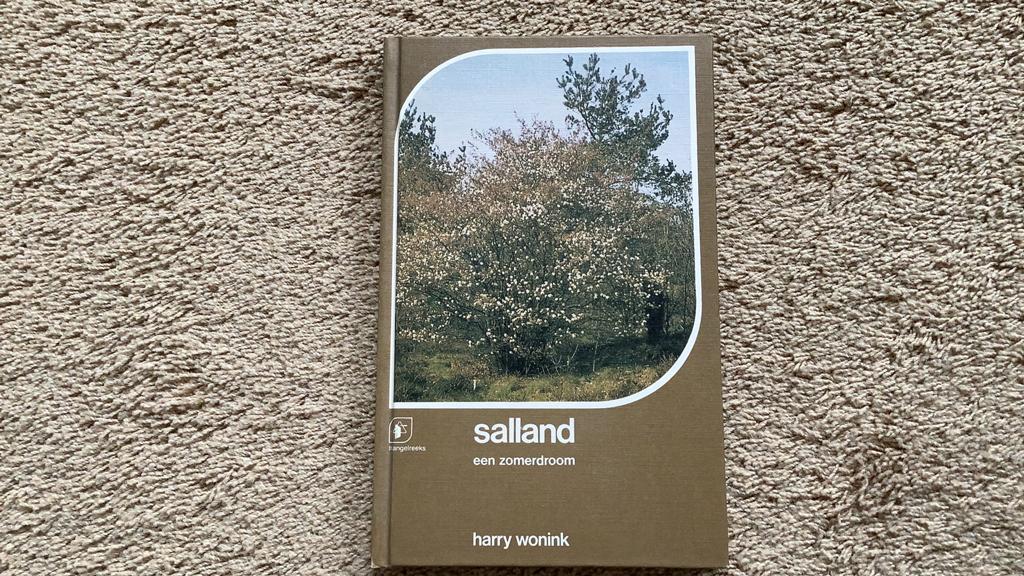 Salland, een zomerdroom. Harry Wonink. Triangelreeks, 1982, Ophalen of Verzenden, Zo goed als nieuw, Overijssel