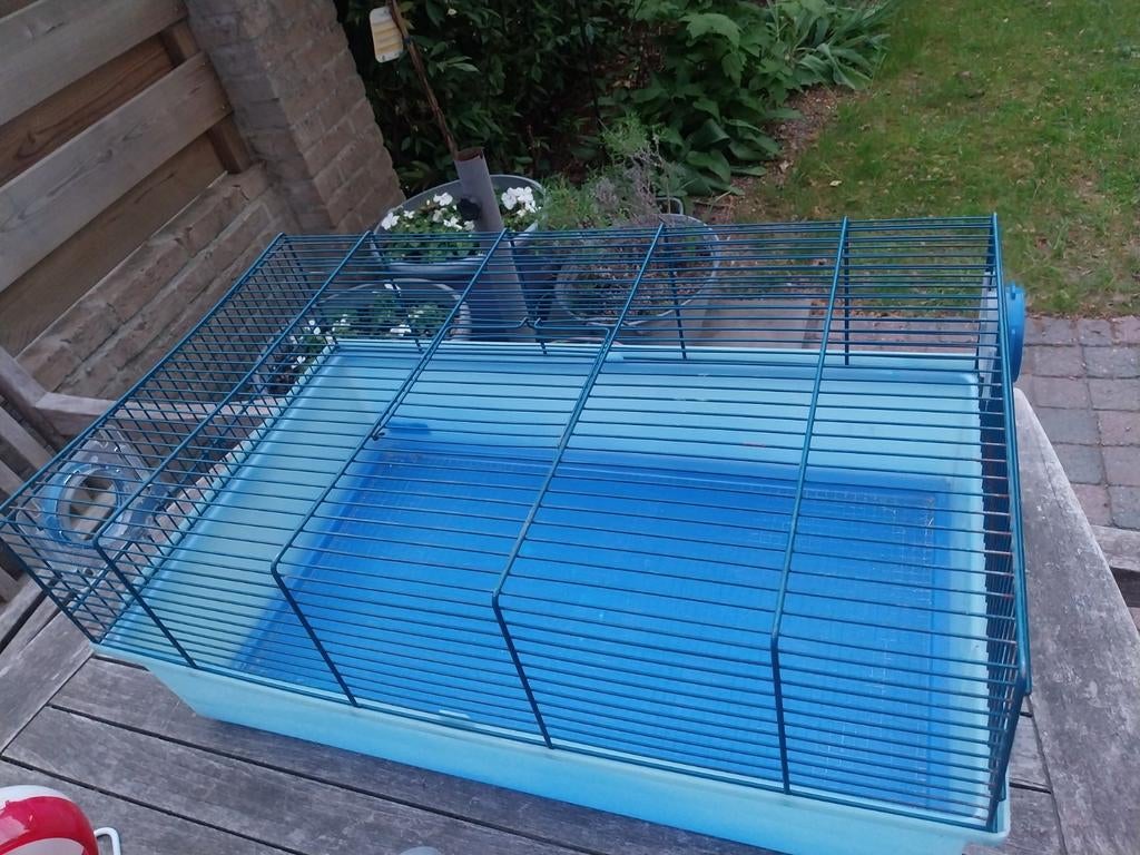 Hamsterkooi met buizenstelsel, Dieren en Toebehoren, Knaagdieren en Konijnen | Hokken en Kooien, Minder dan 60 cm, Kooi, Gebruikt