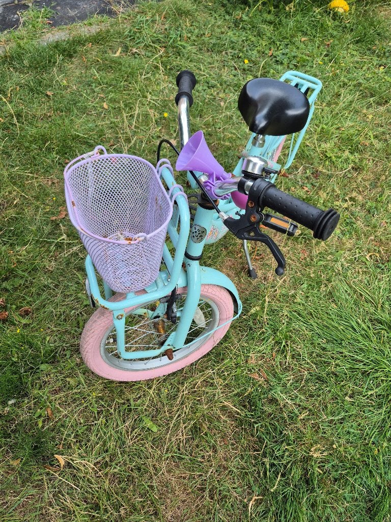 Fiets supersuper lola, Ophalen, Terugtraprem, Gebruikt, Handrem