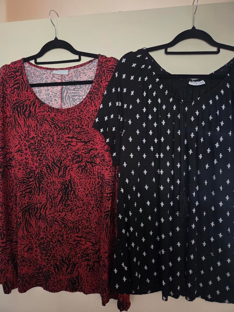 2x T-shirt,  maat 48/50, Zgan., Kleding | Dames, Ophalen of Verzenden, Zo goed als nieuw, Maat 46/48 (XL) of groter