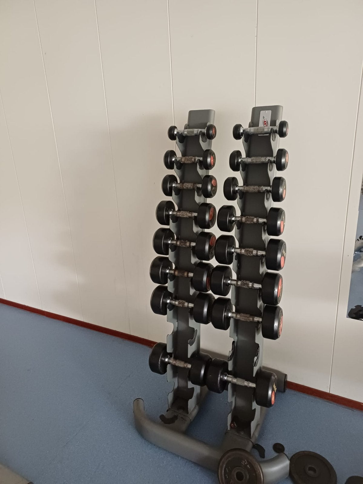 Professionele Dumbbell Set met Rek – Sportschool Gewichten, Ophalen, Zo goed als nieuw, Dumbbell