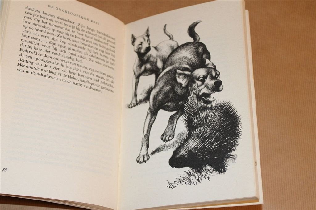 De Ongelooflijke Reis — Epische Tocht van 2 Honden en 1 Kat, Boeken, Ophalen of Verzenden, Gelezen, Honden