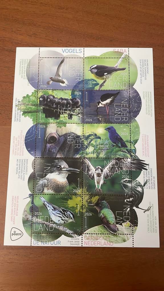 Beleef de natuur 2026 Vogels Saba, Postzegels en Munten, Postzegels | Nederland, Verzenden, Postfris