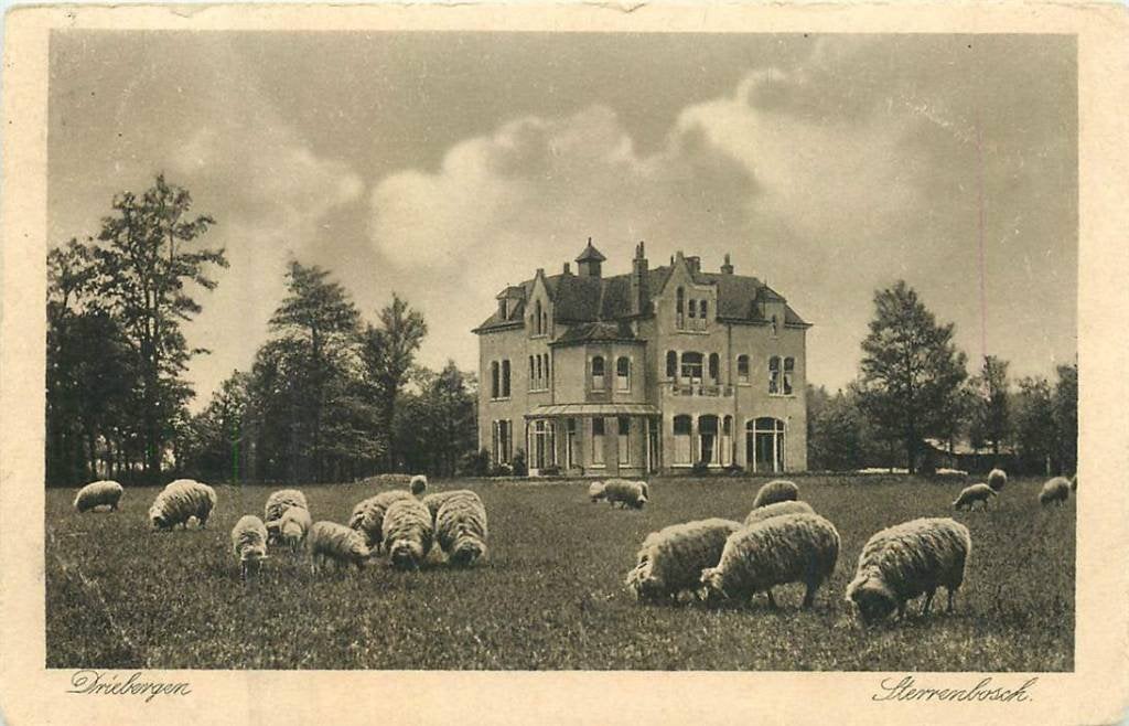 381-090-035 Driebergen Sterrenbosch, Verzenden, Voor 1920, Utrecht