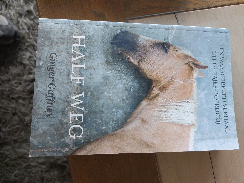 Half weg van Ginger Gaffney, Ophalen, Zo goed als nieuw, Overige