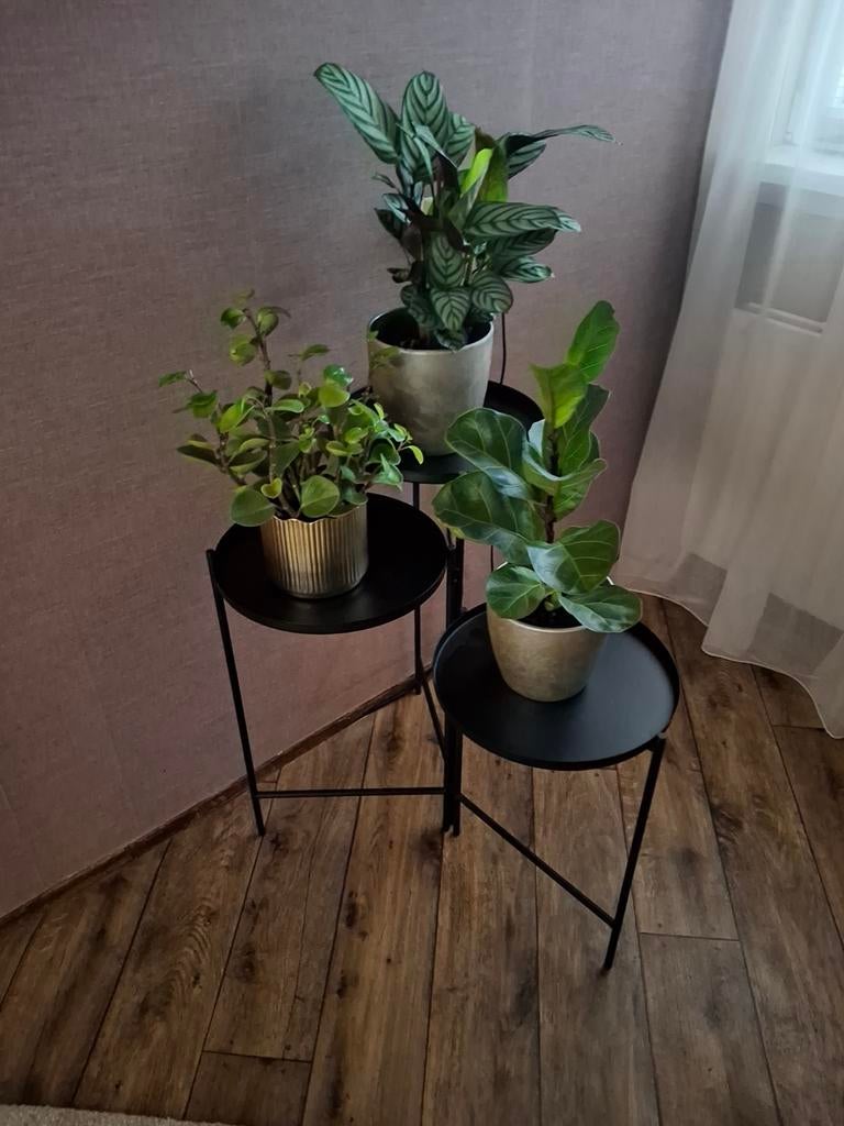 Zwarte metalen plantentafel met 3 niveaus, Huis en Inrichting, Ophalen, Metaal of Aluminium, Rond, 55 tot 75 cm