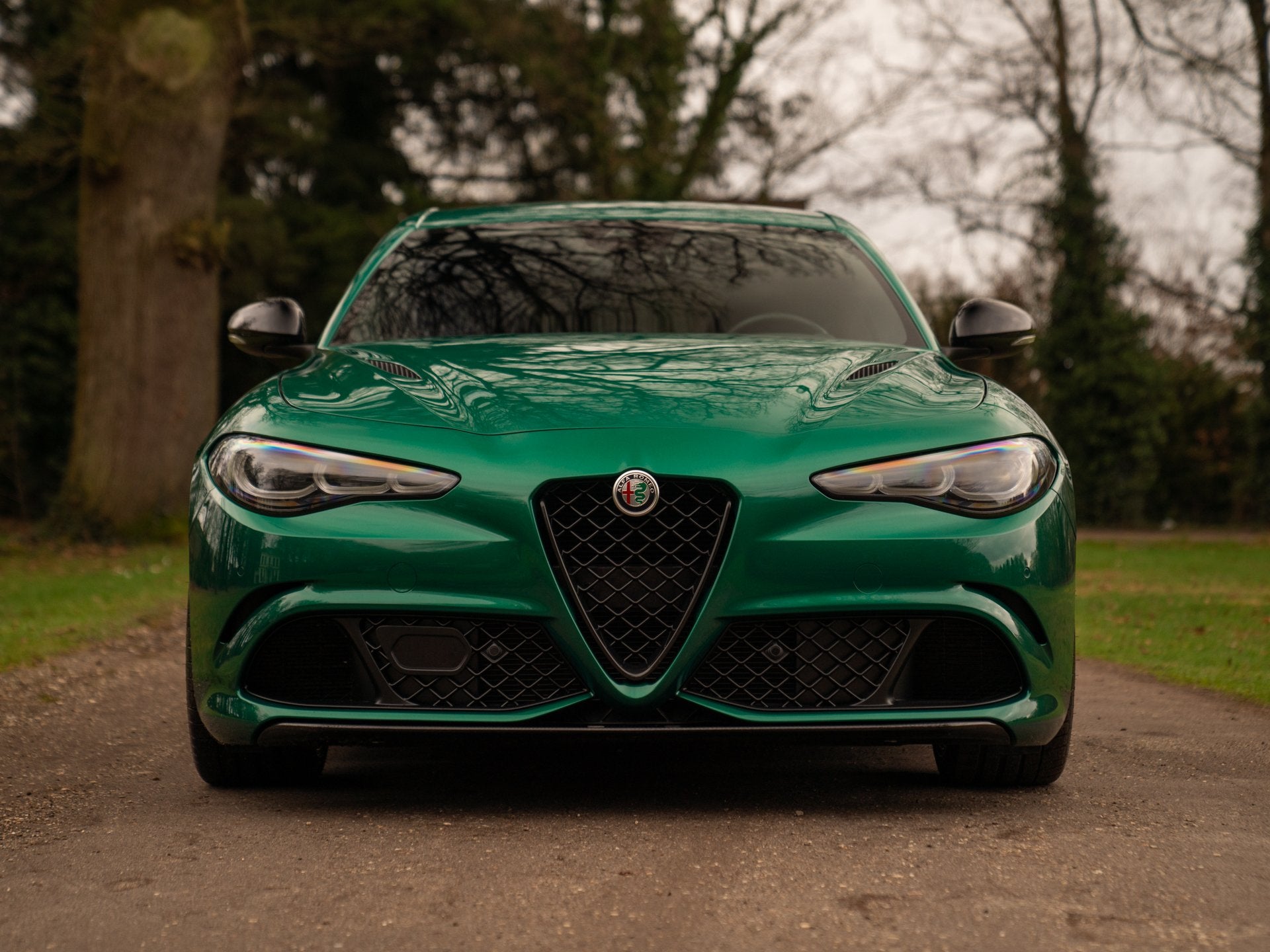 Alfa Romeo Giulia 2.9 V6 Quadrifoglio | Akrapovic | Carbon s, Automaat, Gebruikt, Met garantie (alle), Bedrijf