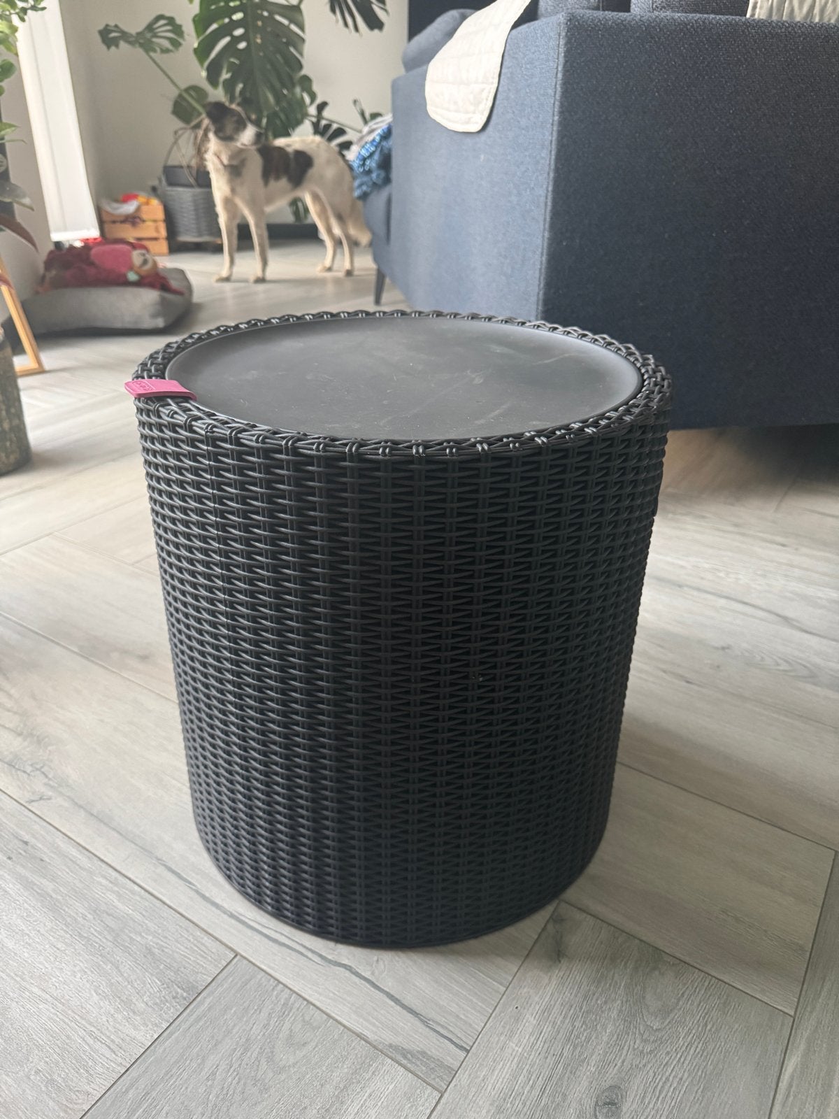 Koelbox voor drankjes - Rotor design, Ophalen, Gebruikt, Koelbox, Koelelement