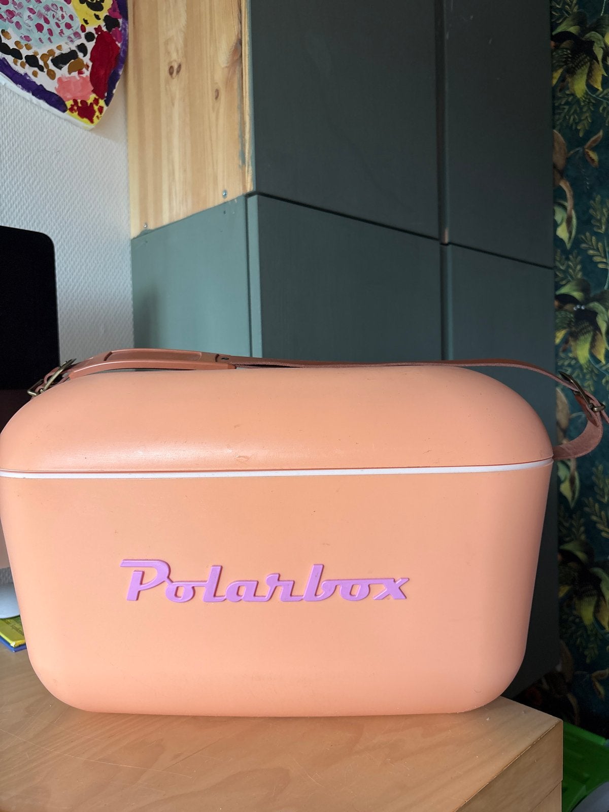 Polarbox Koelbox - Handige draagriem, licht beschadigd, Caravans en Kamperen, Ophalen, Gebruikt, Koelbox, Koelelement