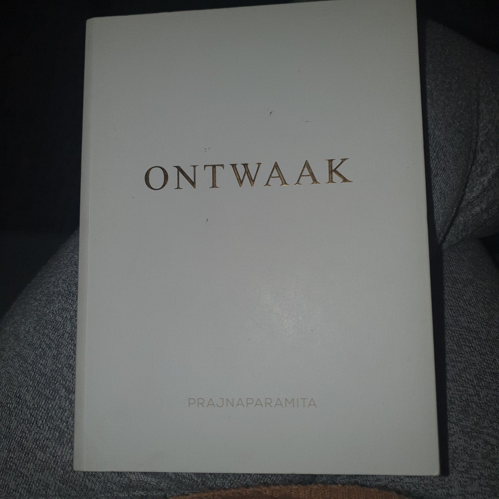 Prajnaparamita - Ontwaak, Boeken, Achtergrond en Informatie, Spiritualiteit algemeen, Ophalen of Verzenden, Prajnaparamita