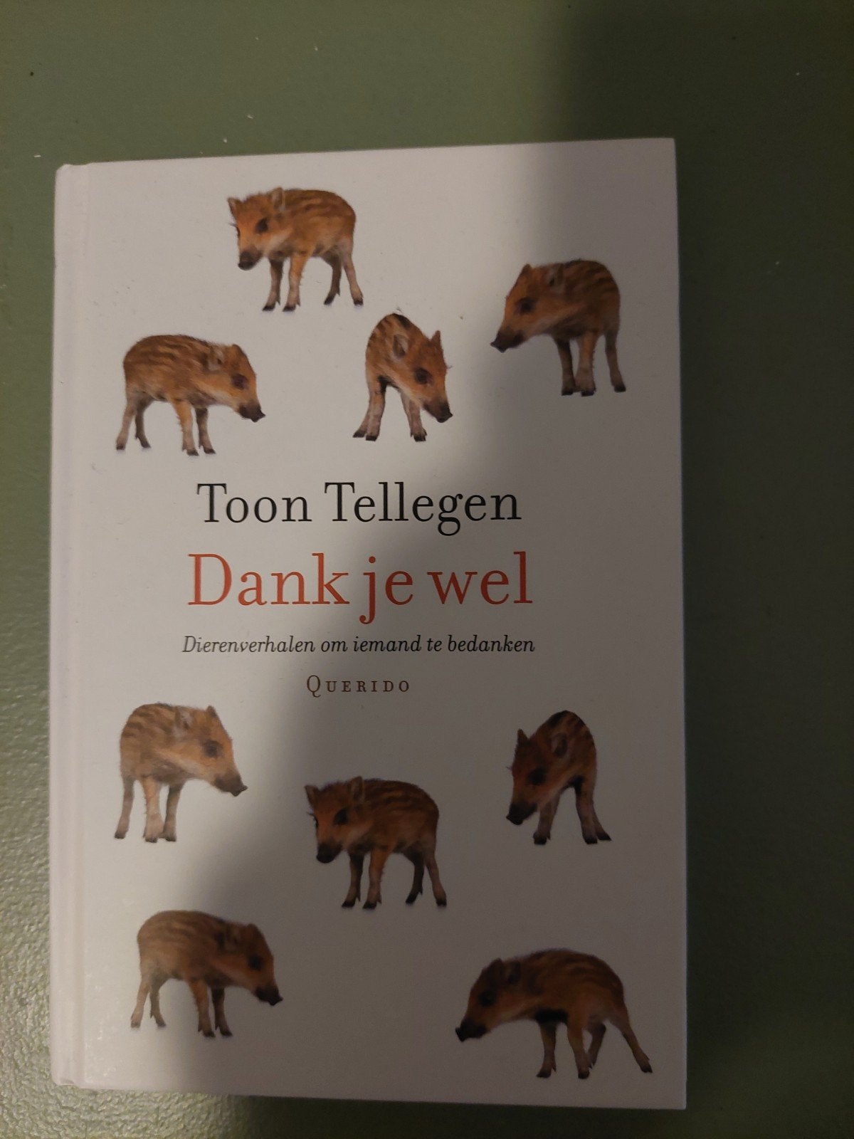 Dank je wel - Toon Tellegen (Dierenverhalen), Ophalen of Verzenden, Zo goed als nieuw, Toon Tellegen, Nederland