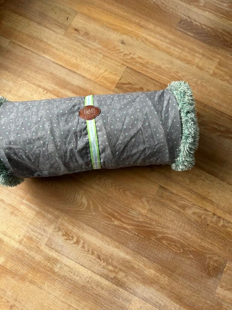 Speeltunnel voor katten (puppy's kan ook), grijs/groen, Ophalen of Verzenden, Nieuw, Speeltunnel