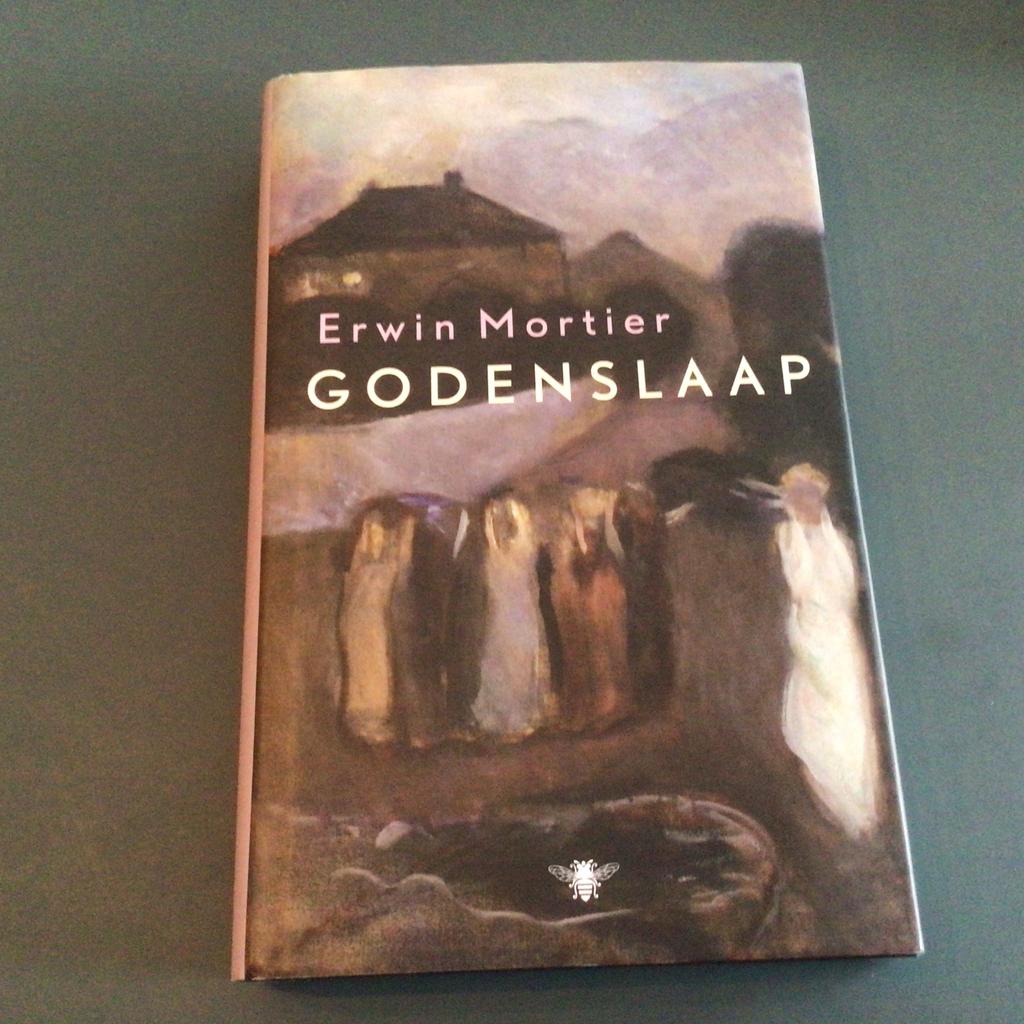 Erwin Mortier - Godenslaap, Erwin Mortier, Ophalen of Verzenden, Zo goed als nieuw, Nederland