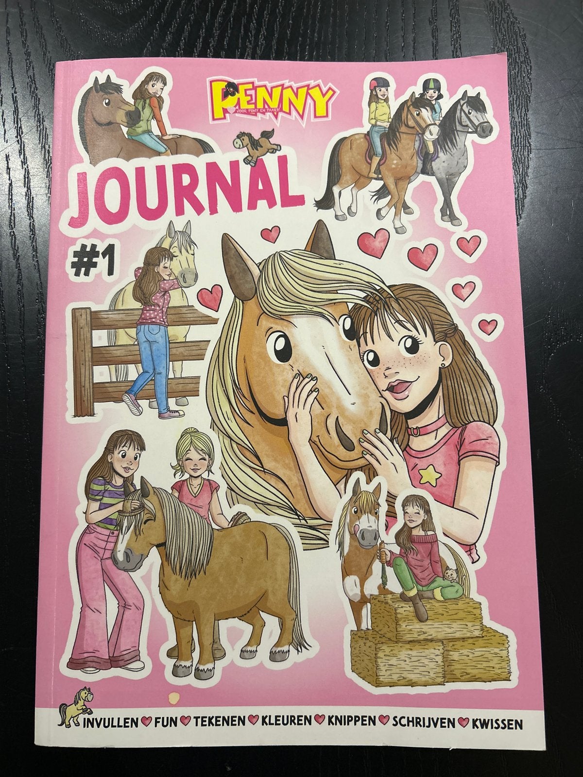 Penny Journal #1 - Nieuw en Ongebruikt Paarden Dagboek, Ophalen of Verzenden, Nieuw, Non-fictie