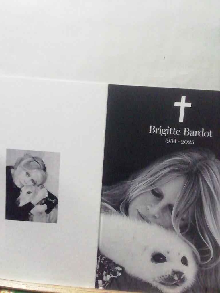 Bidprentje van Brigitte Bardot, Ophalen of Verzenden, Zo goed als nieuw, Buitenlandse clubs