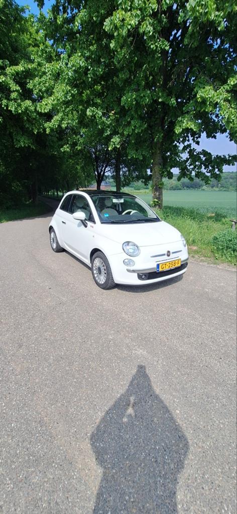 Fiat 2013 1.2 Panoramadak wit, Auto's, Voorwielaandrijving, Stof, 1242 cc, 4 cilinders