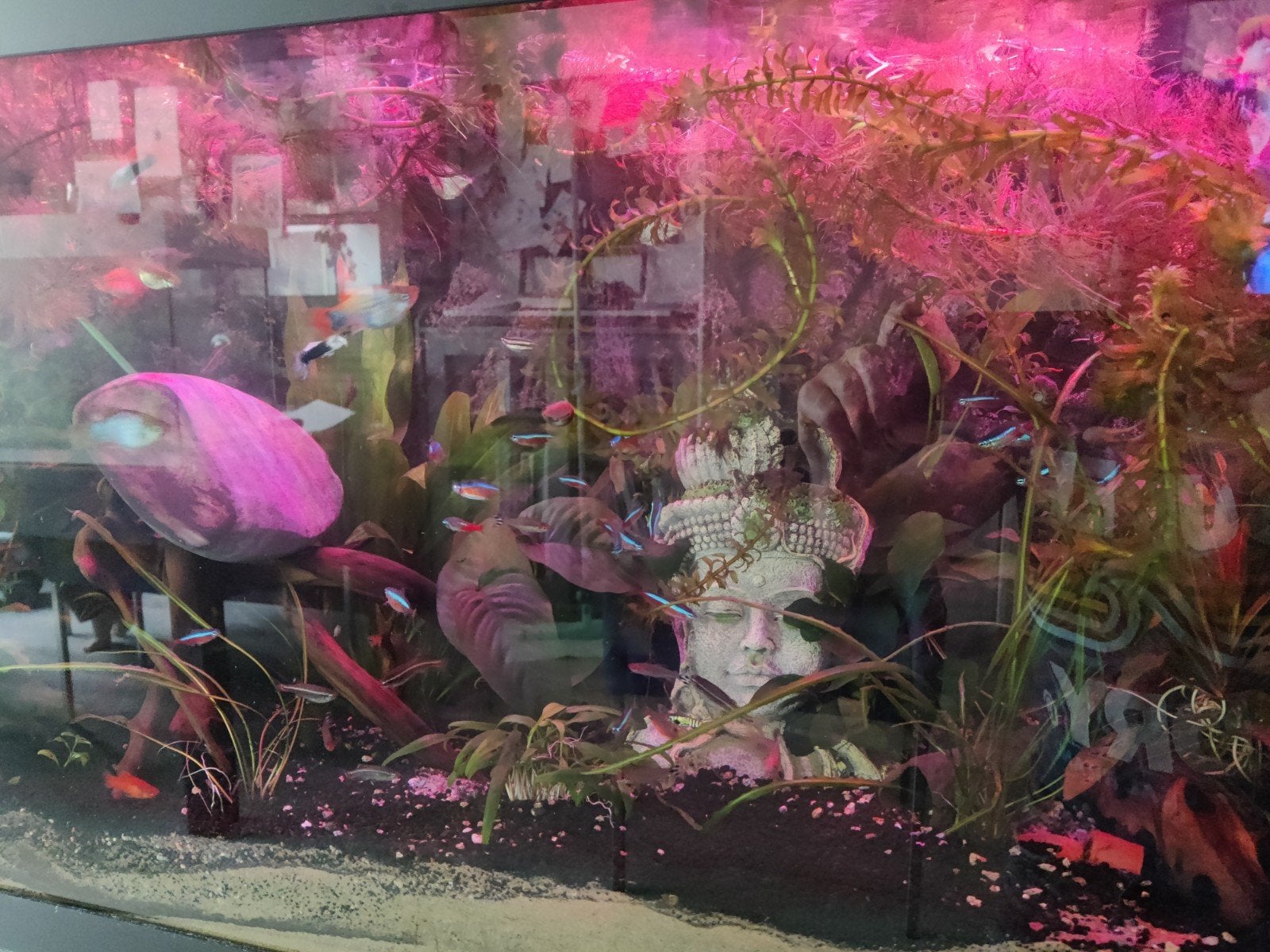 Mooie Juwel Rio 240 liter met vele extra, Ophalen, Gebruikt, Inclusief toebehoren, Leeg aquarium
