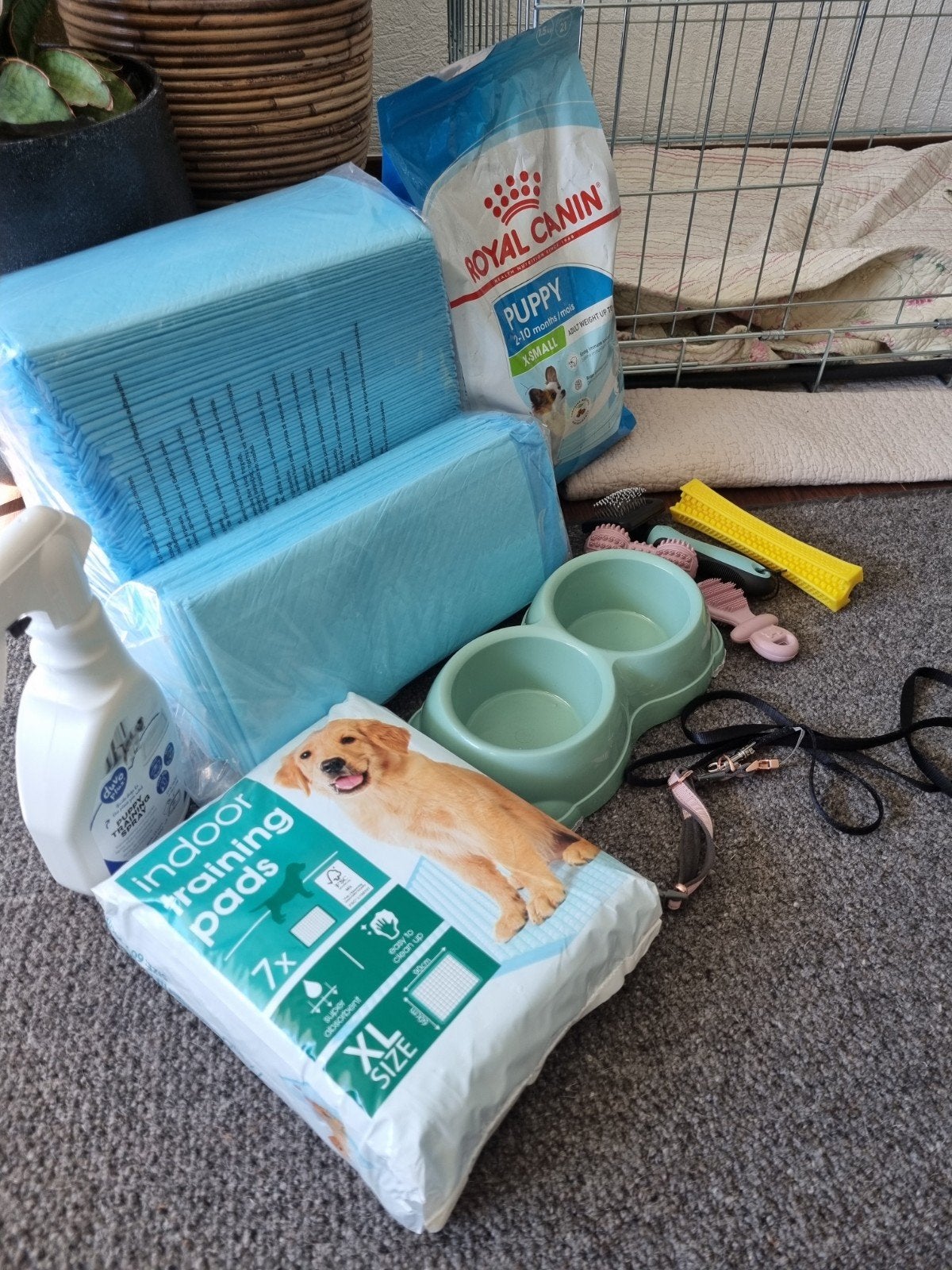 puppy pakket met speeltjes hond trainingsmatjes Royal canin, Dieren en Toebehoren, Ophalen of Verzenden, Zo goed als nieuw, Halsband