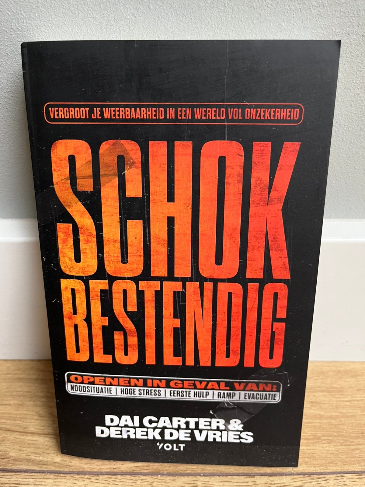 ==Nieuw== Schokbestendig - Vergroot je weerbaarheid, Ophalen of Verzenden, Nieuw, Dai Carter & Derek de Vries