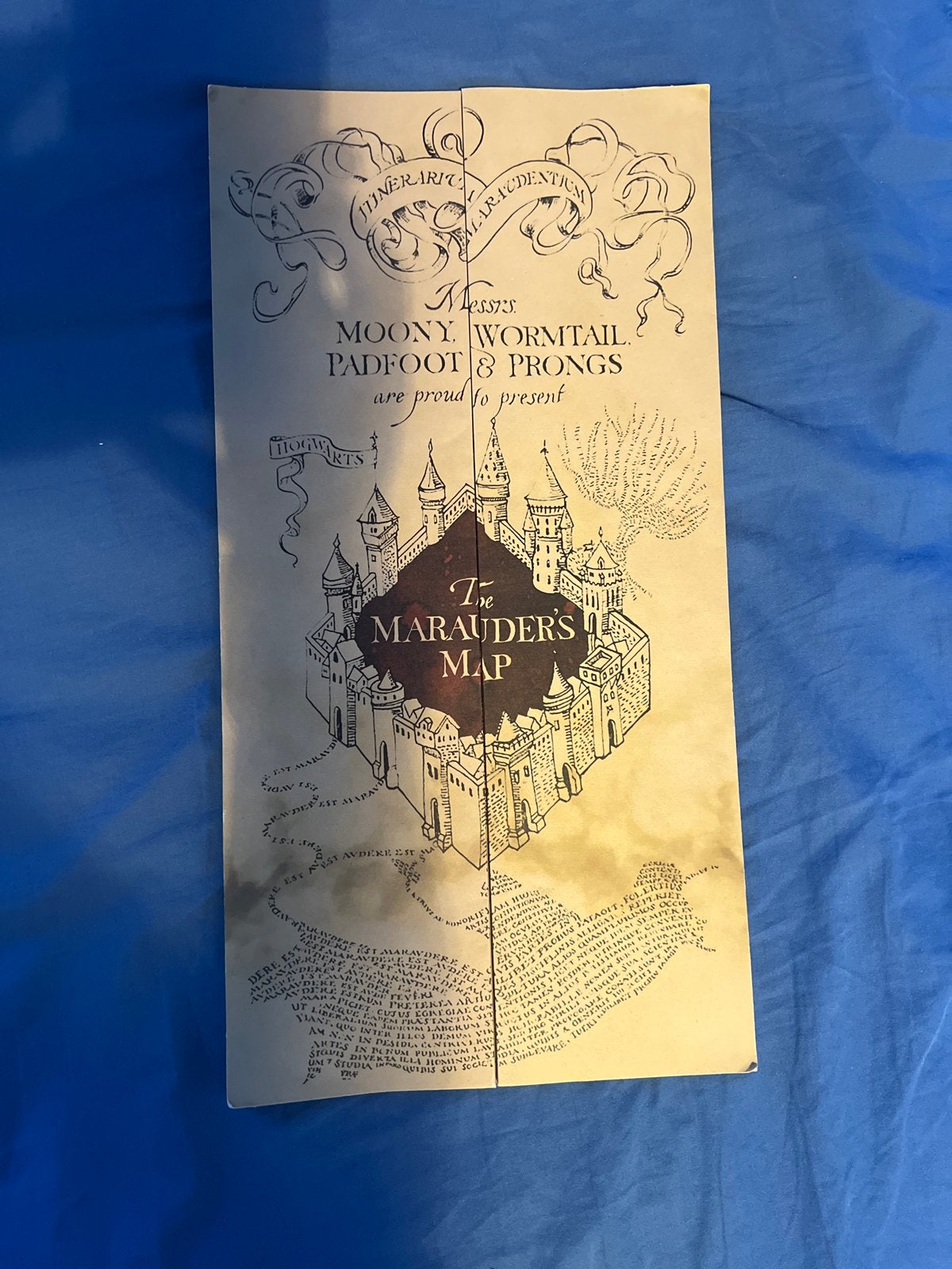 Harry Potter Marauder's Map - De Sluipwegwijzer, Ophalen of Verzenden, Zo goed als nieuw, Boek of Poster