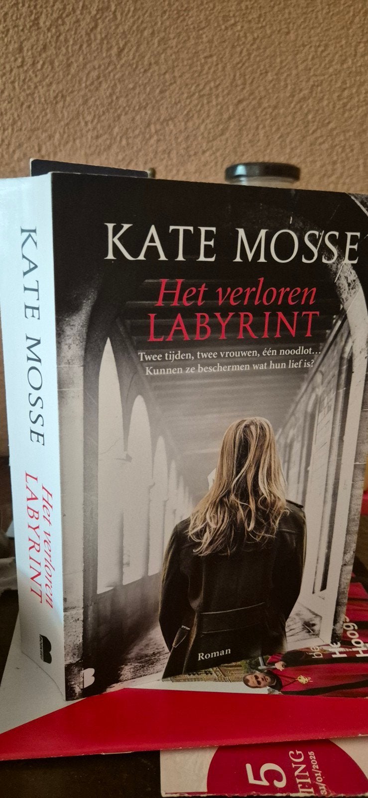Kate Mosse - Het verloren labyrint, Boeken, Ophalen of Verzenden, Zo goed als nieuw, Kate Mosse