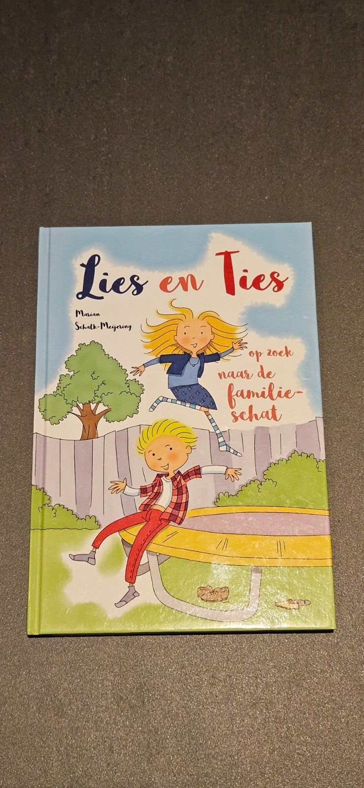 Lies en Ties op zoek naar de familieschat, Fictie algemeen, Ophalen of Verzenden, Zo goed als nieuw, Marian Schalk-Meijering