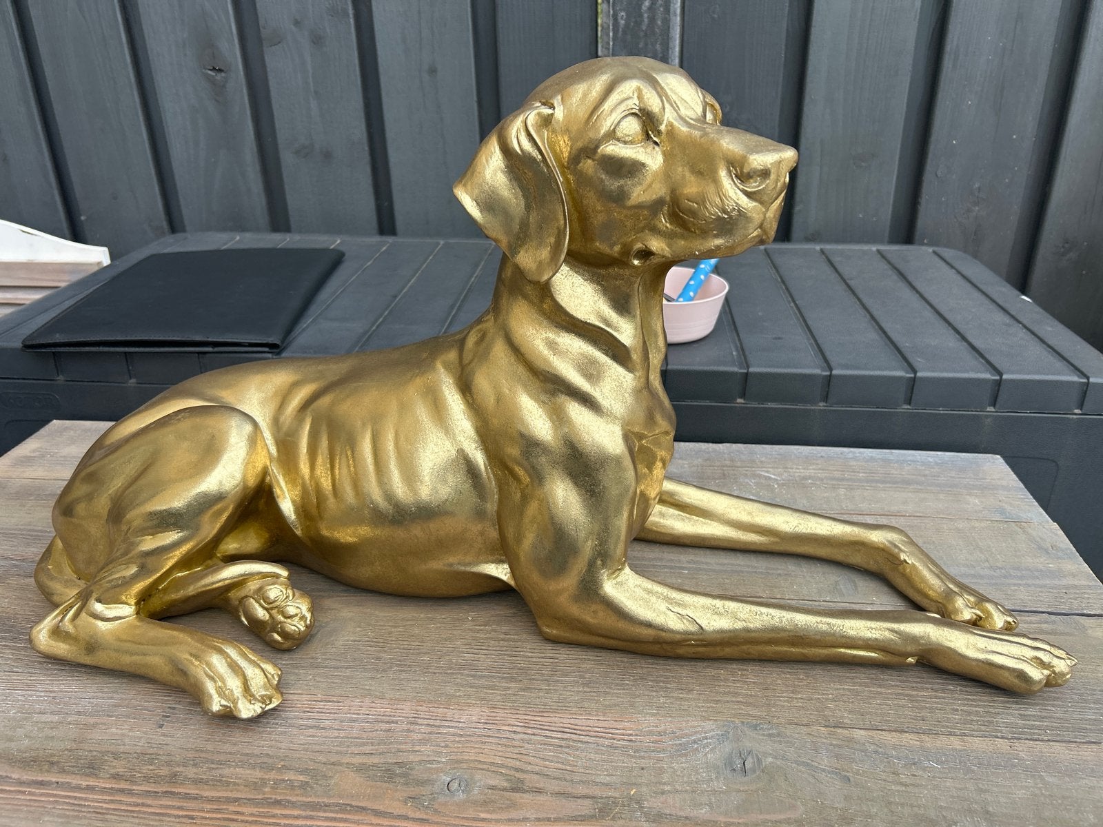 Goudkleurig beeld van liggende hond, Weerbestendig, Zoogdier, Overige materialen, Beeld