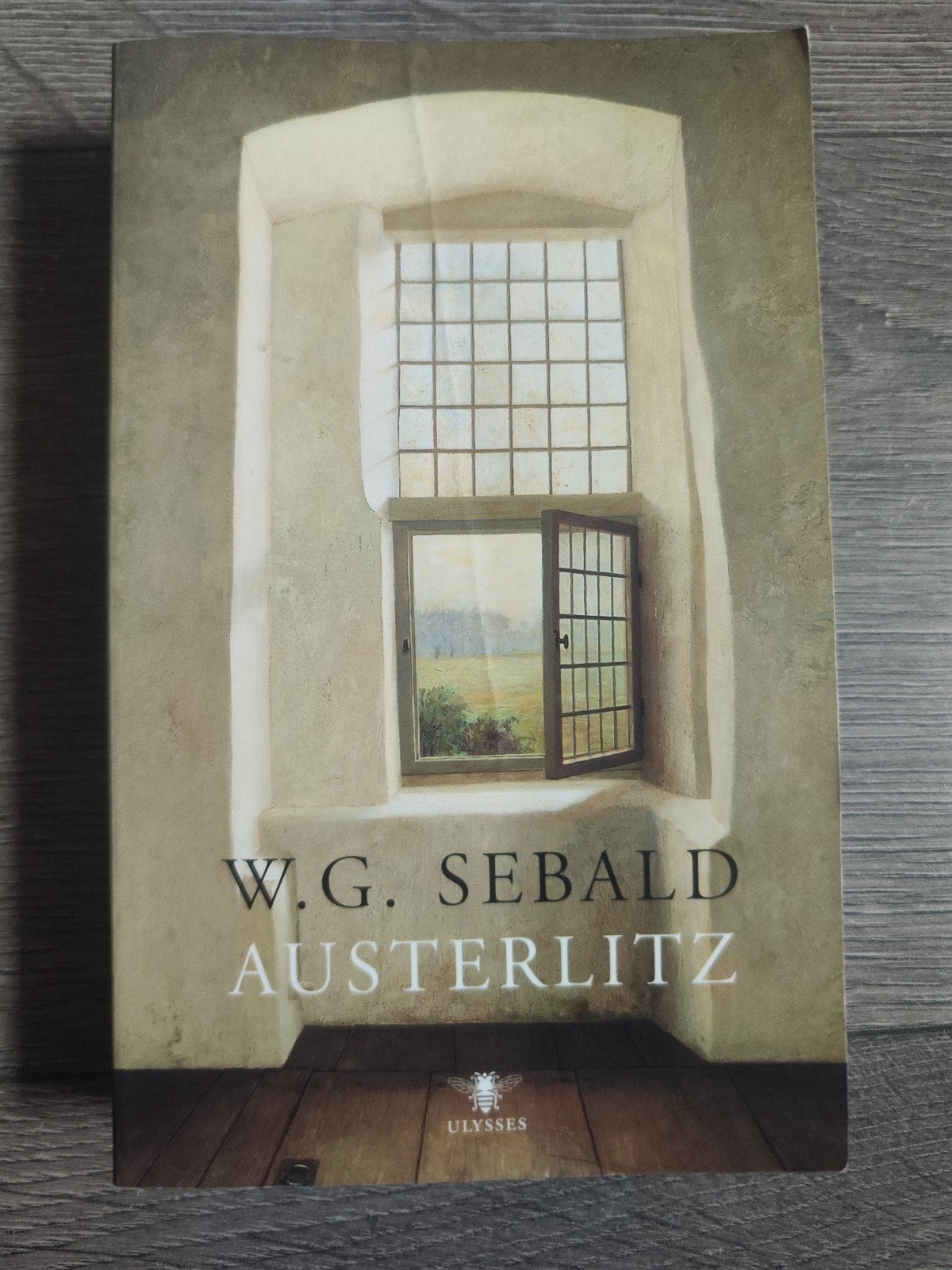 Austerlitz – W.G. Sebald | Literaire roman over herinnering, Boeken, Ophalen of Verzenden, Zo goed als nieuw, W.G. Sebald
